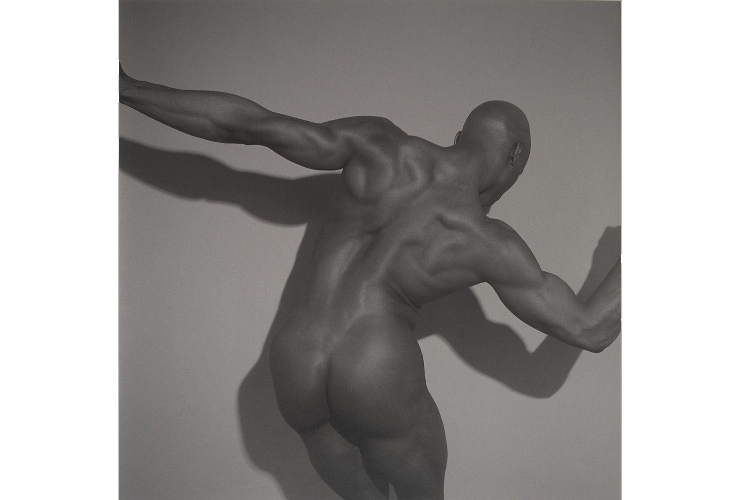 Lynn Davis Ken Moody, New York City (Dancer #31) selenium-toned gelatin silver print on paper 20 in. x 24 in. ( 50.8 cm x 60.96 cm ) Gift of Mr. and Mrs. James Agah, Class of 1989 (BBA)