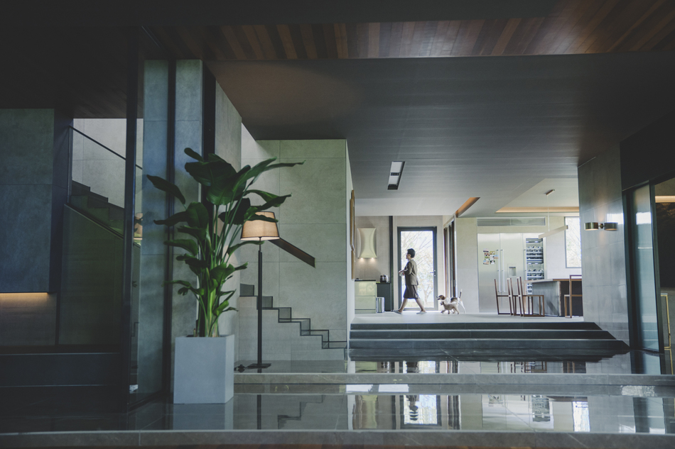 A still from the film Parasite showing a clean, very modern home interior a woman walks in the background followed by two dogs