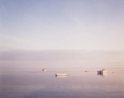 Several white boats set against a background of a purple and grey sky