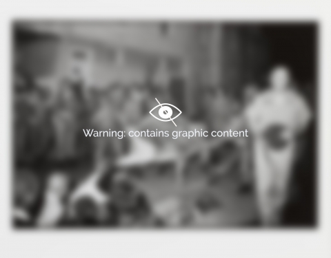 A blurred image of a photograph with the following text overlayed: Warning, Contains graphic content