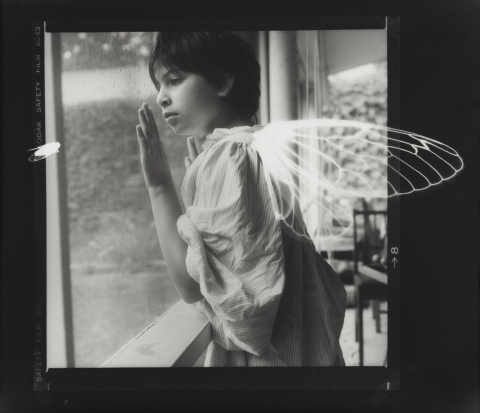 Black and white image of a child looking out a window with white wings superimposed on her back and a white insect watching her. 