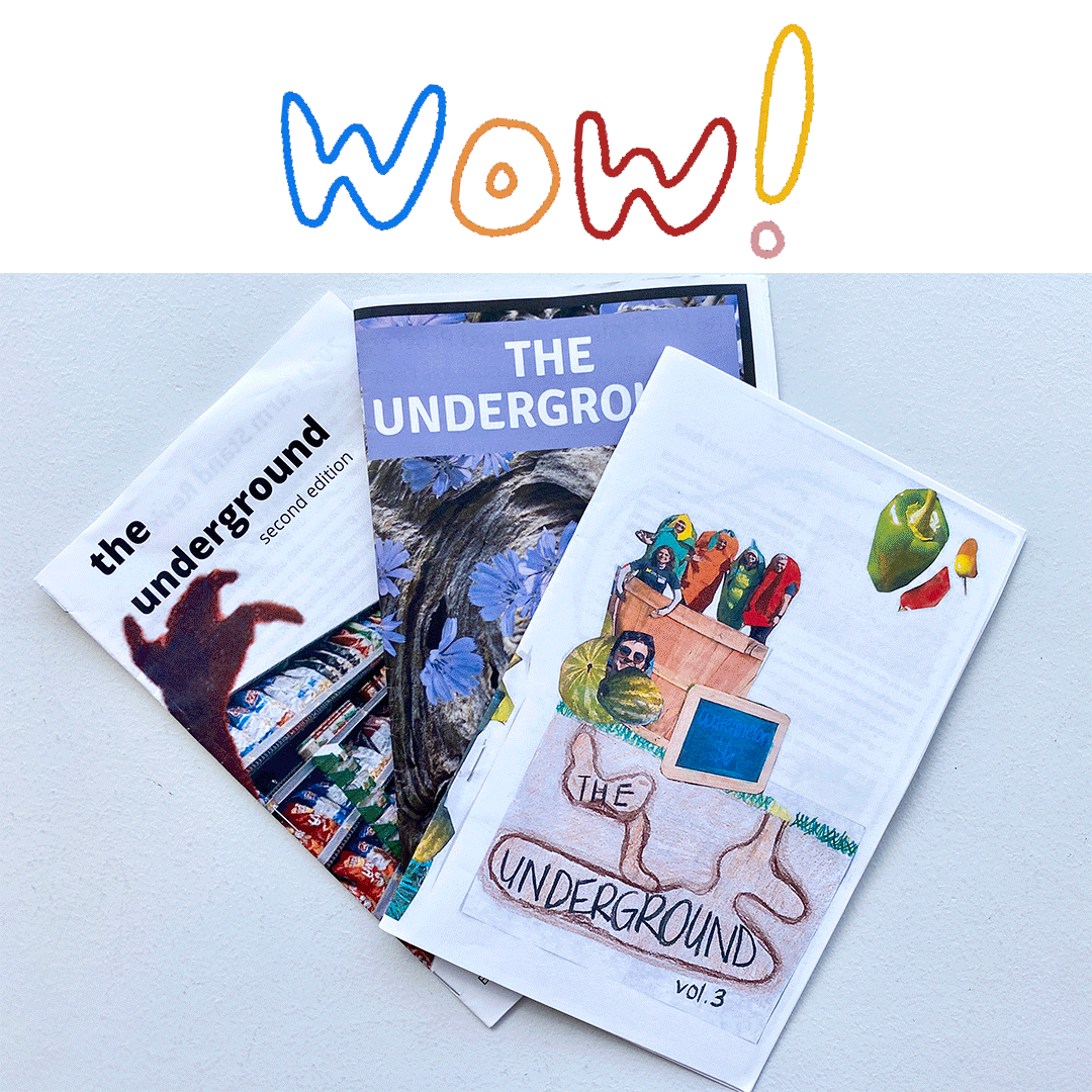 UMSFP Underground Zine Animation